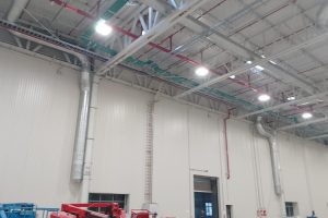 AUDI PLANT3